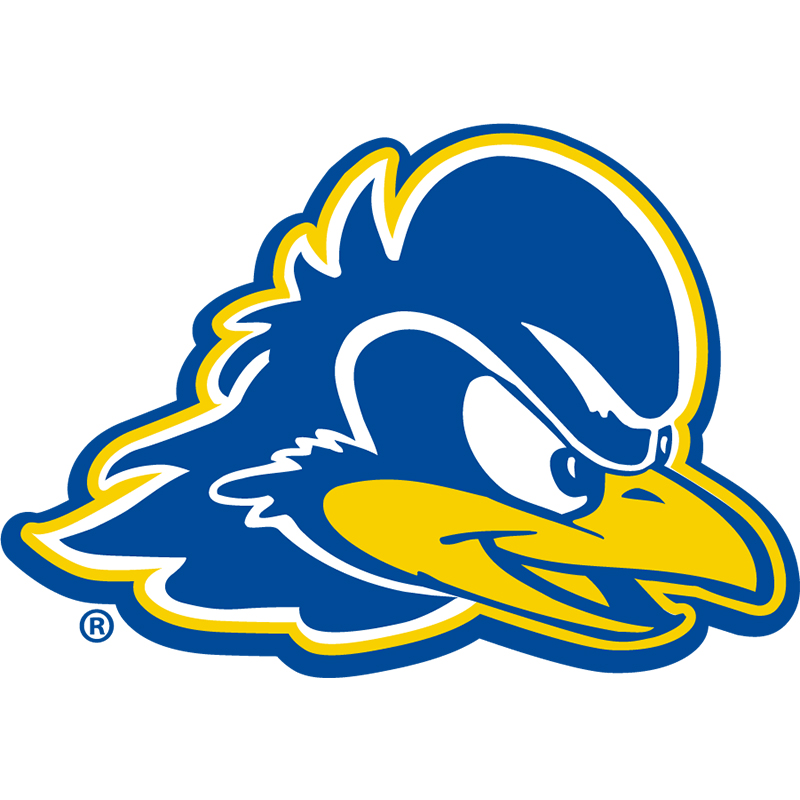 Delaware Blue Hens iron ons